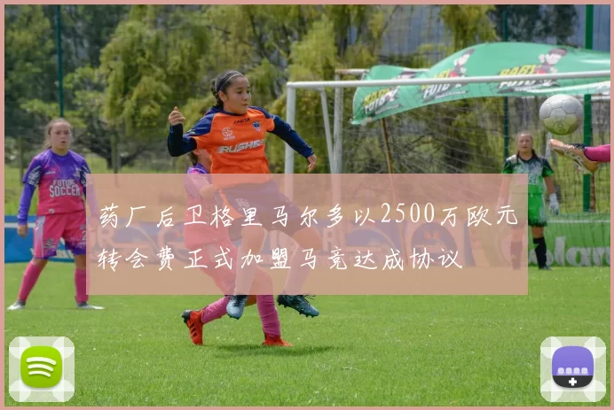 药厂后卫格里马尔多以2500万欧元转会费正式加盟马竞达成协议
